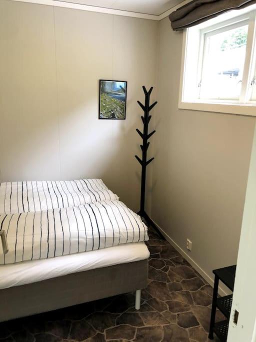 Flat In The Center Of